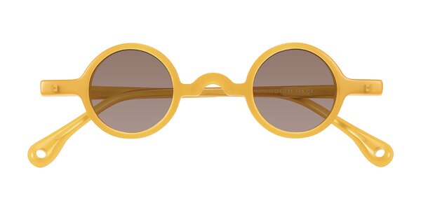 Front of Hominid in Honey