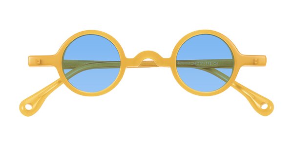 Front of Hominid in Honey