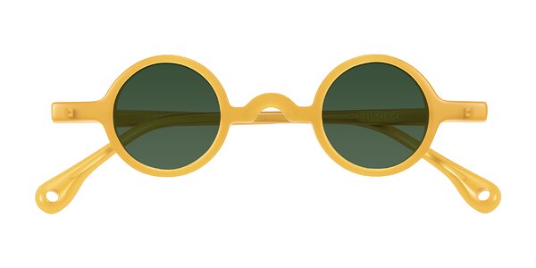 Front of Hominid in Honey