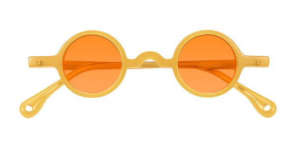 Front of Hominid in Honey