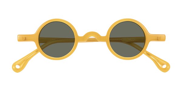 Front of Hominid in Honey