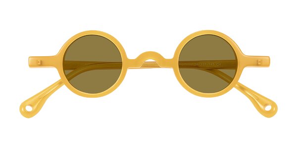 Front of Hominid in Honey