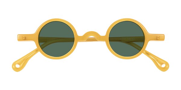 Front of Hominid in Honey