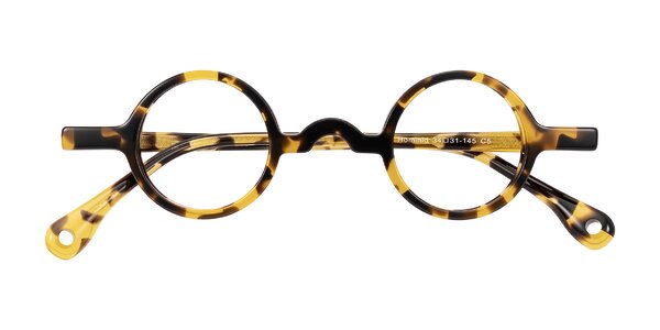 Front of Hominid in Tortoise