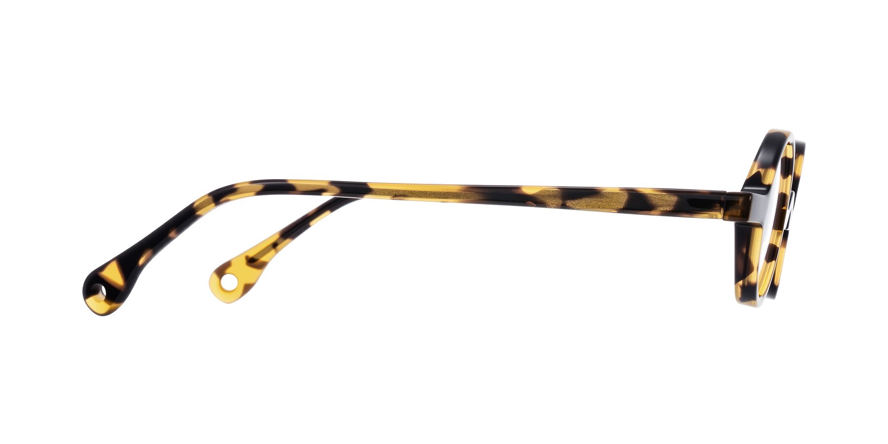 Side of Hominid in Tortoise with Clear Reading Eyeglass Lenses