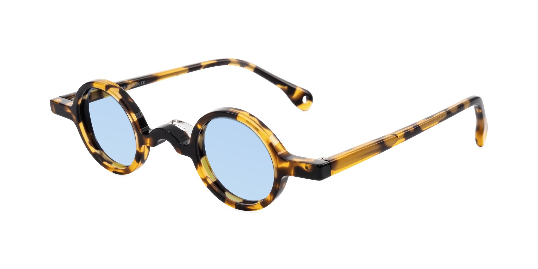 Angle of Hominid in Tortoise with Light Blue Tinted Lenses