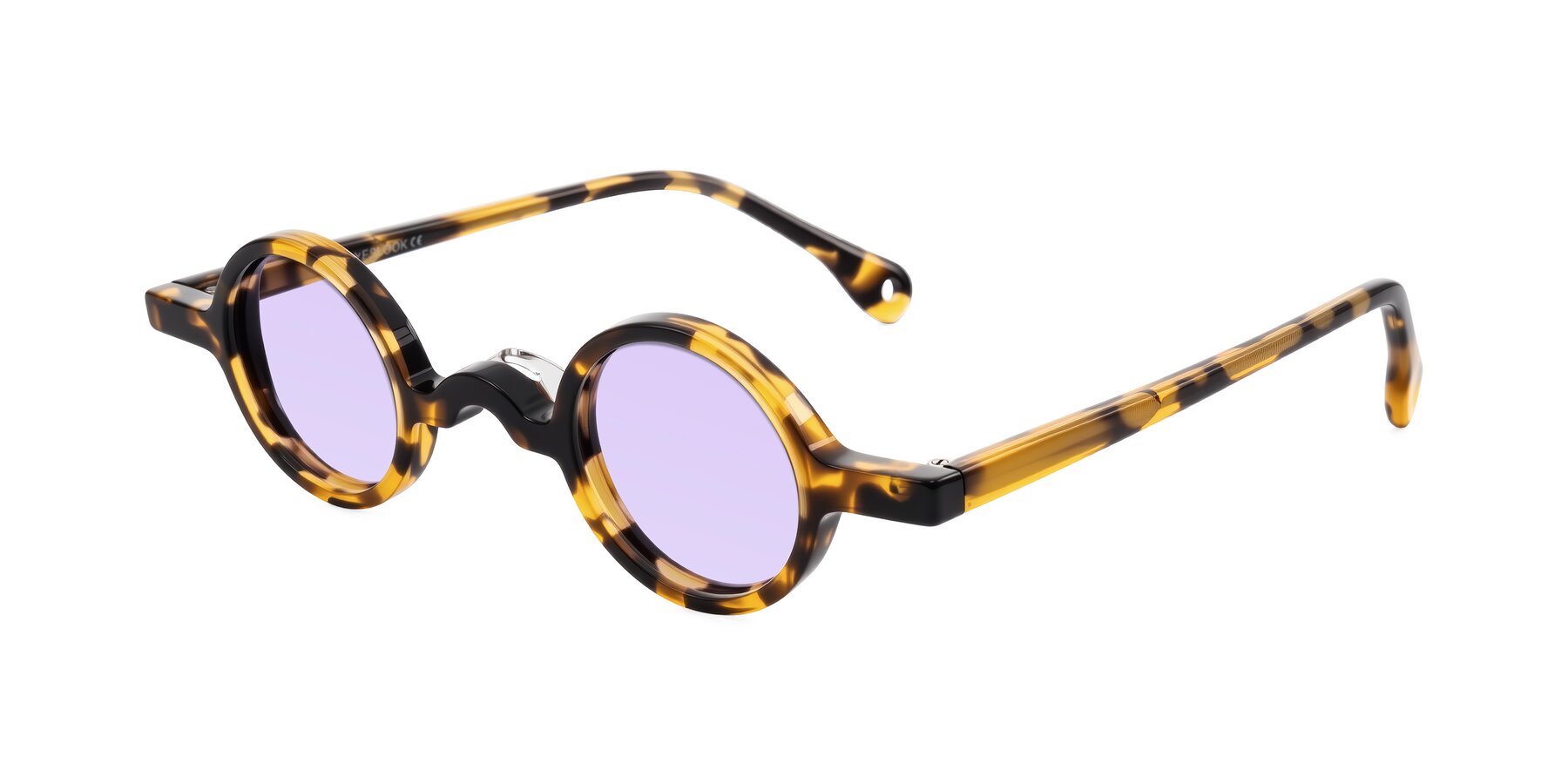 Angle of Hominid in Tortoise with Light Purple Tinted Lenses