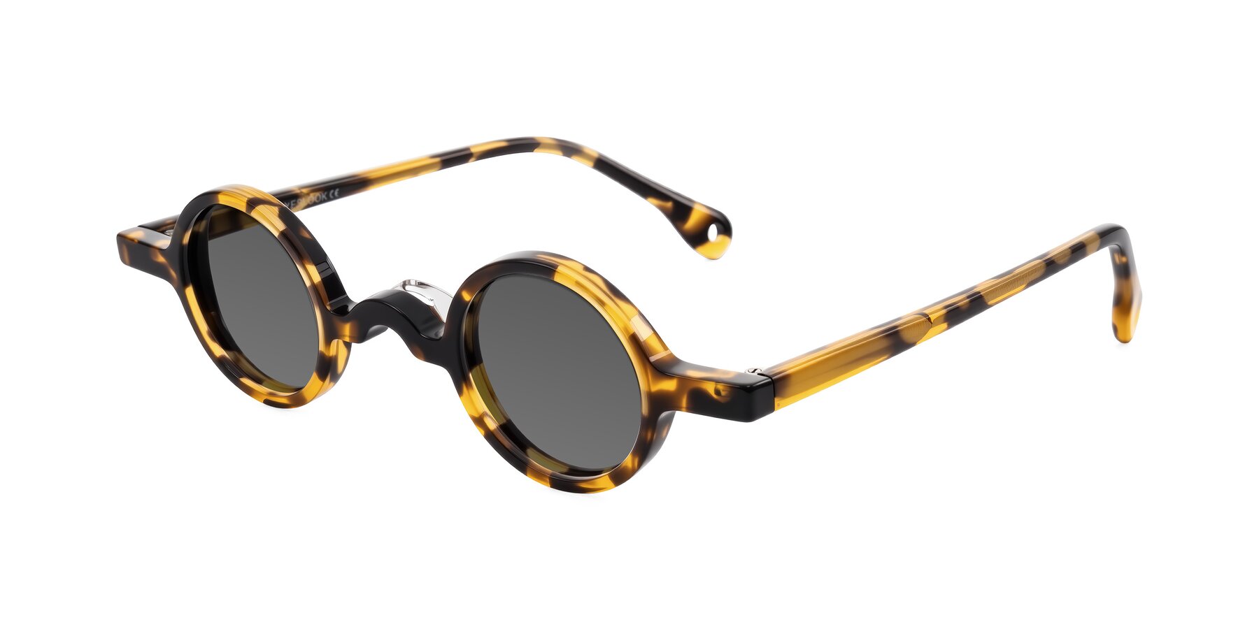 Angle of Hominid in Tortoise with Medium Gray Tinted Lenses