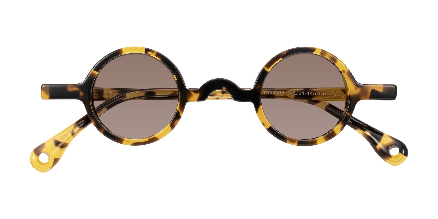 Folded Front of Hominid in Tortoise with Medium Brown Tinted Lenses