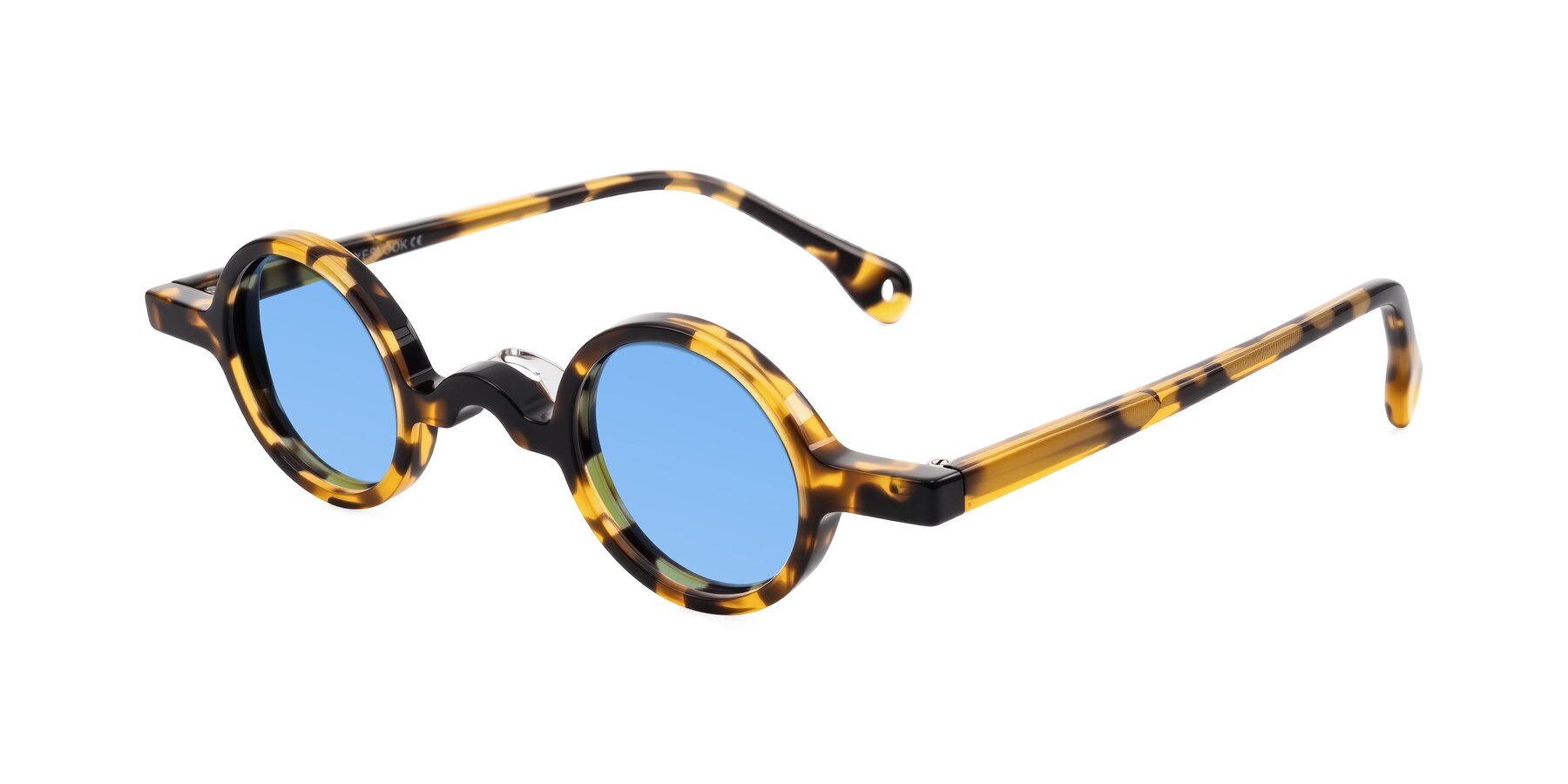 Angle of Hominid in Tortoise with Medium Blue Tinted Lenses