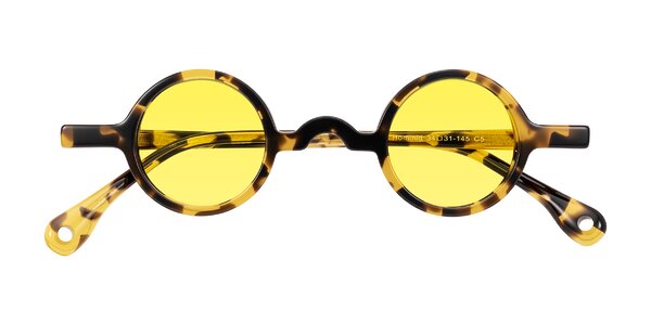 Front of Hominid in Tortoise