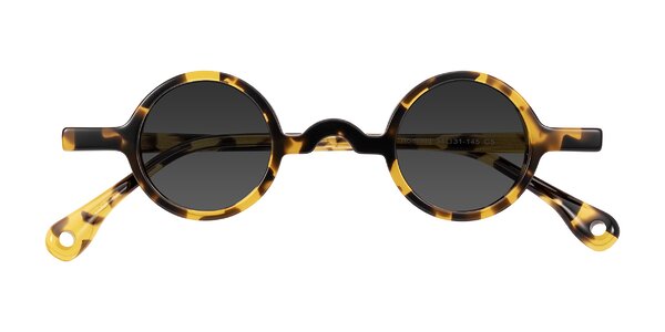 Front of Hominid in Tortoise