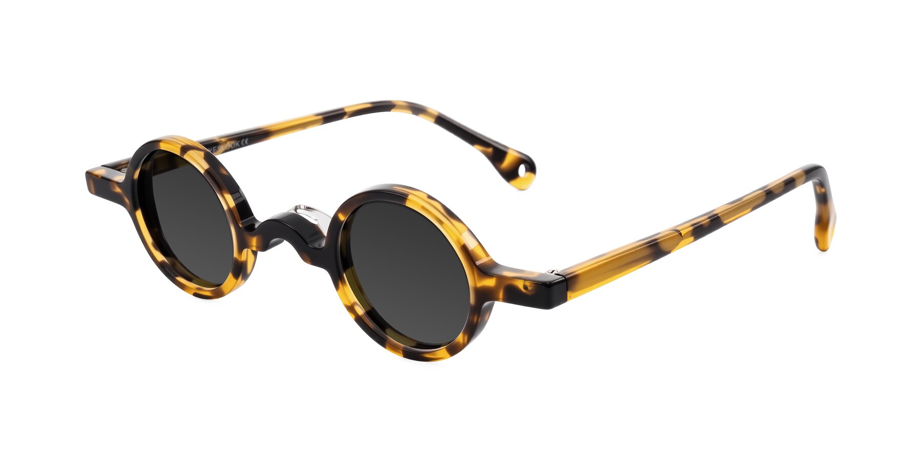 Angle of Hominid in Tortoise with Gray Tinted Lenses