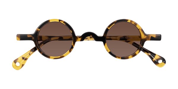 Front of Hominid in Tortoise