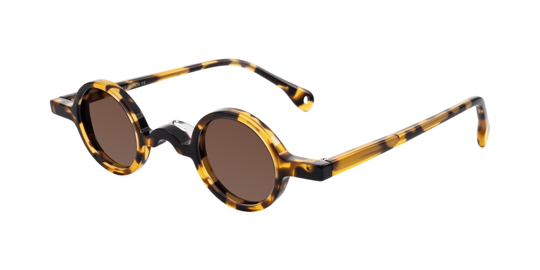 Angle of Hominid in Tortoise with Brown Tinted Lenses