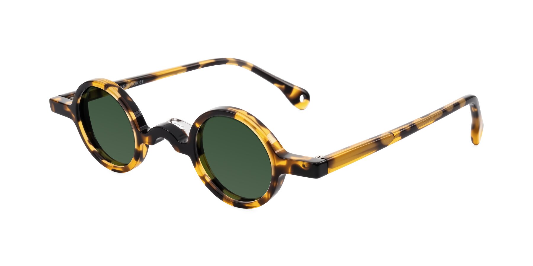 Angle of Hominid in Tortoise with Green Tinted Lenses