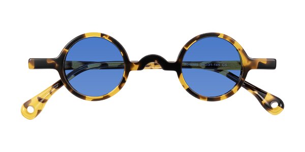 Front of Hominid in Tortoise