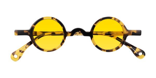 Front of Hominid in Tortoise