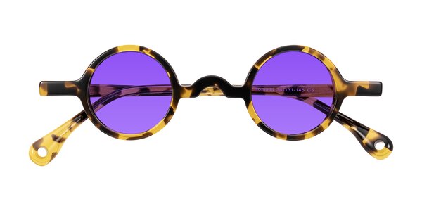 Front of Hominid in Tortoise