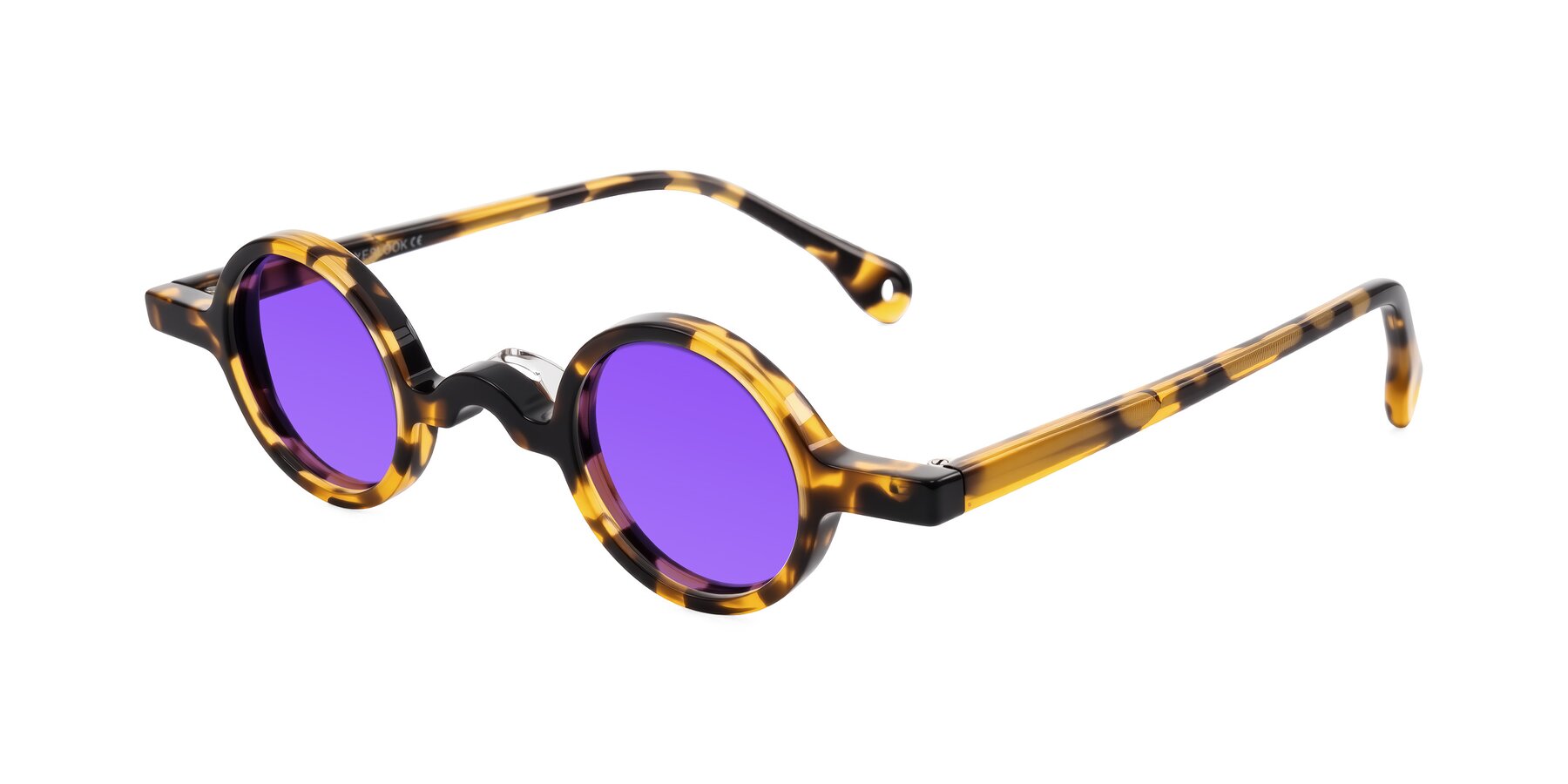 Angle of Hominid in Tortoise with Purple Tinted Lenses