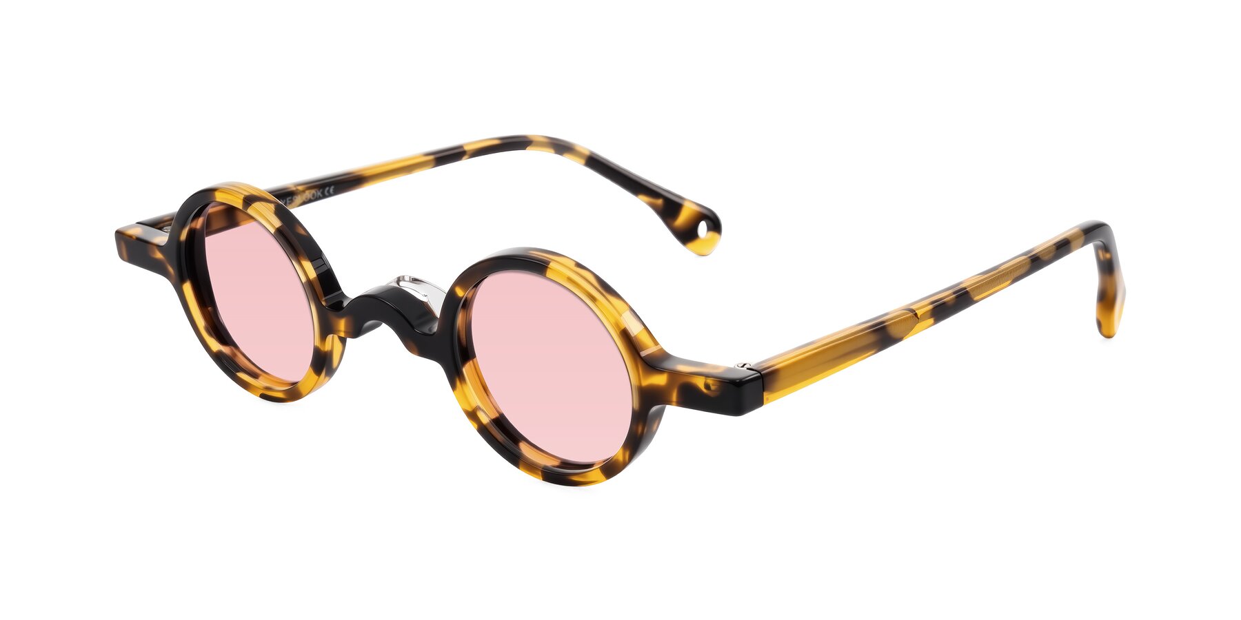 Angle of Hominid in Tortoise with Light Garnet Tinted Lenses