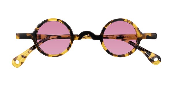 Front of Hominid in Tortoise