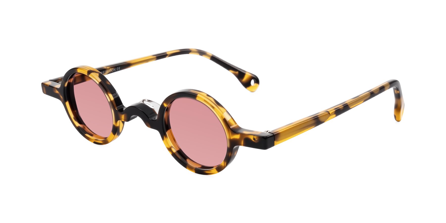 Angle of Hominid in Tortoise with Medium Garnet Tinted Lenses
