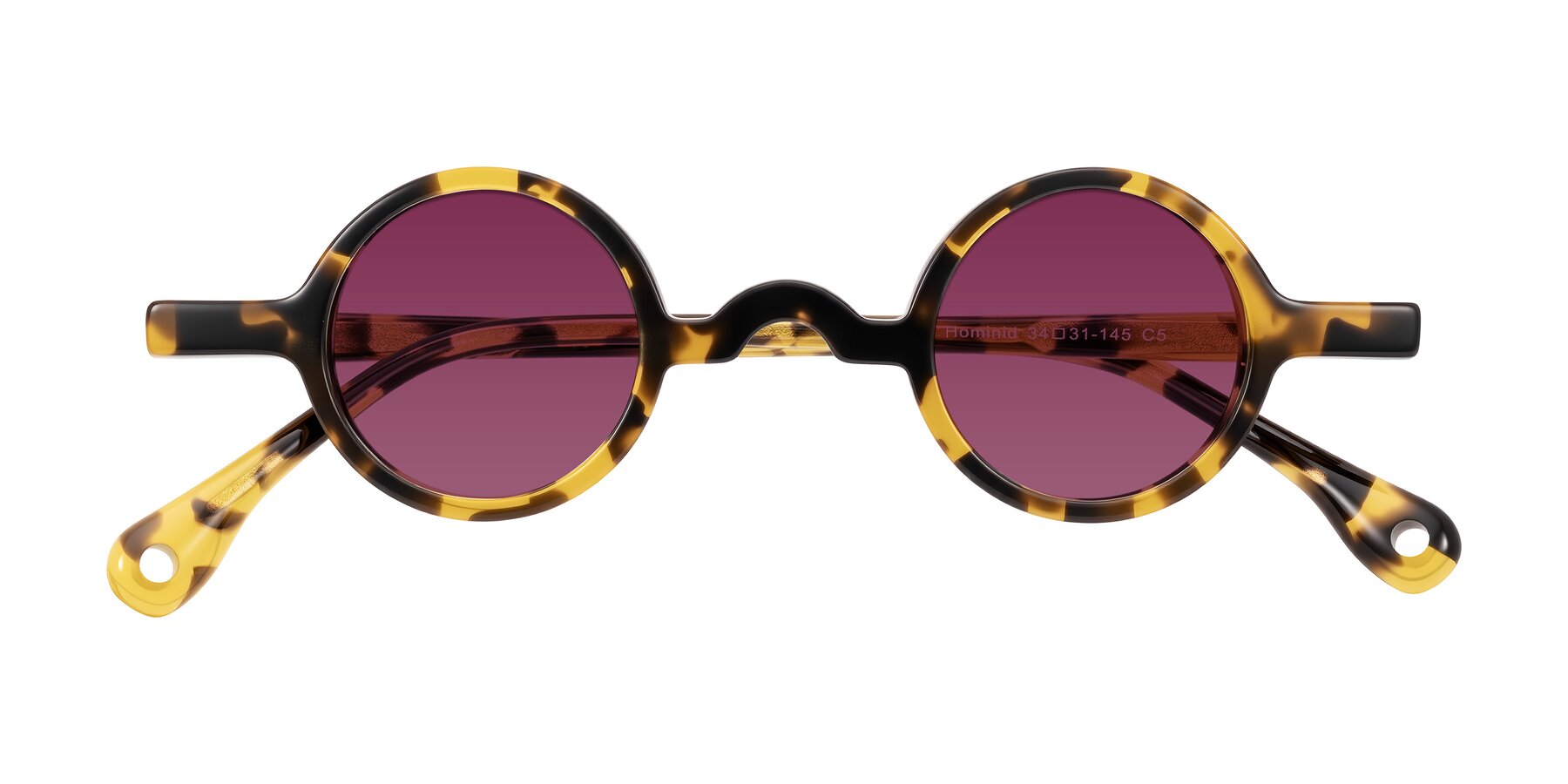 Folded Front of Hominid in Tortoise with Wine Tinted Lenses