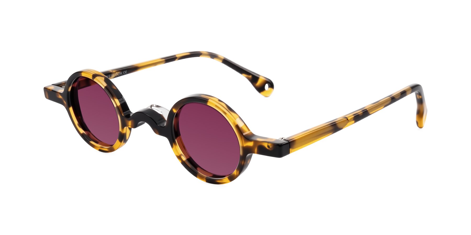 Angle of Hominid in Tortoise with Wine Tinted Lenses