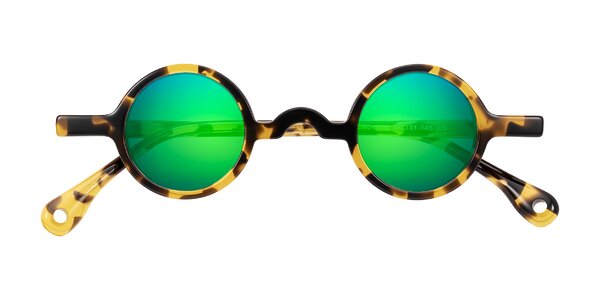 Front of Hominid in Tortoise