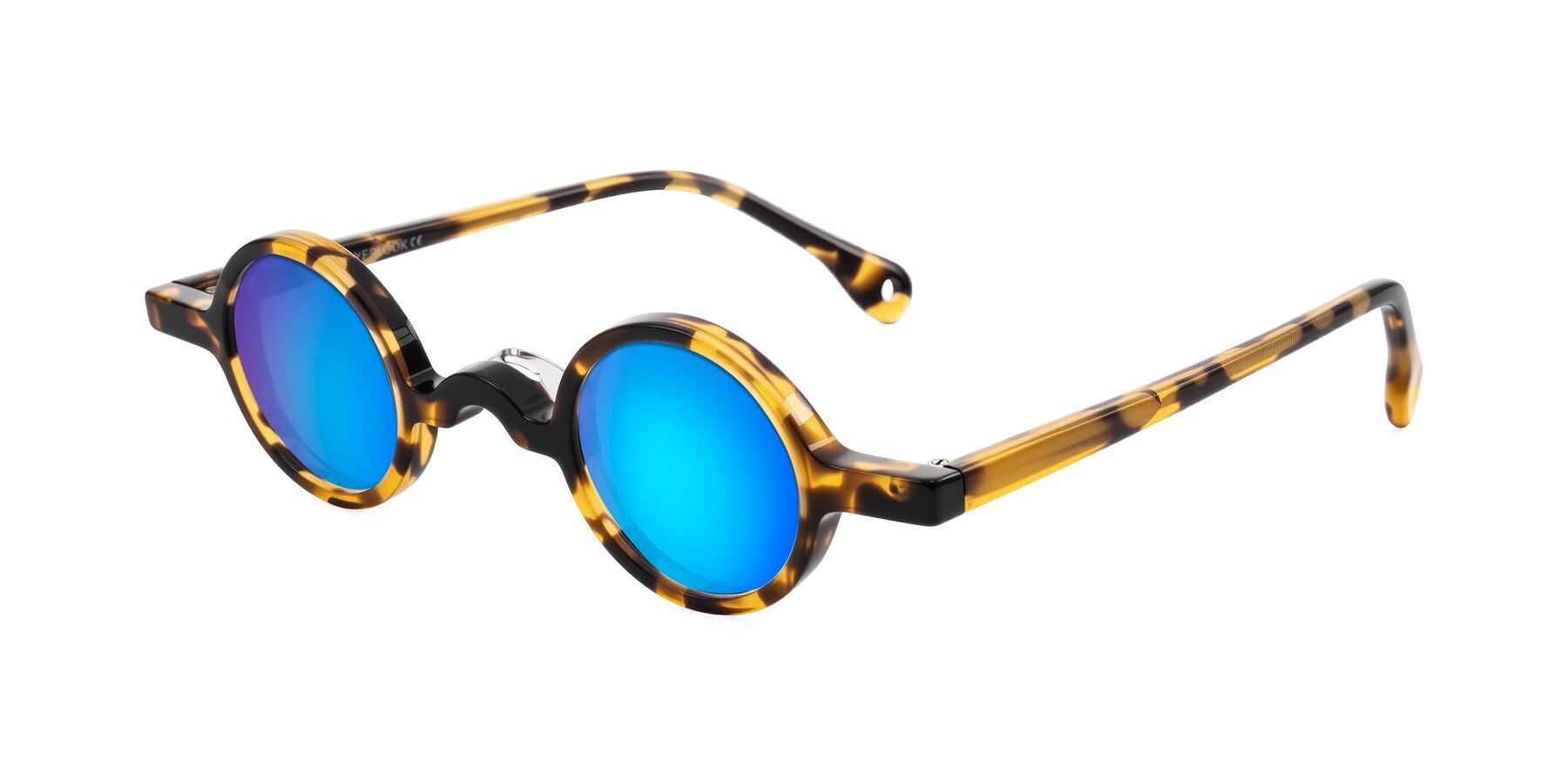 Angle of Hominid in Tortoise with Blue Mirrored Lenses