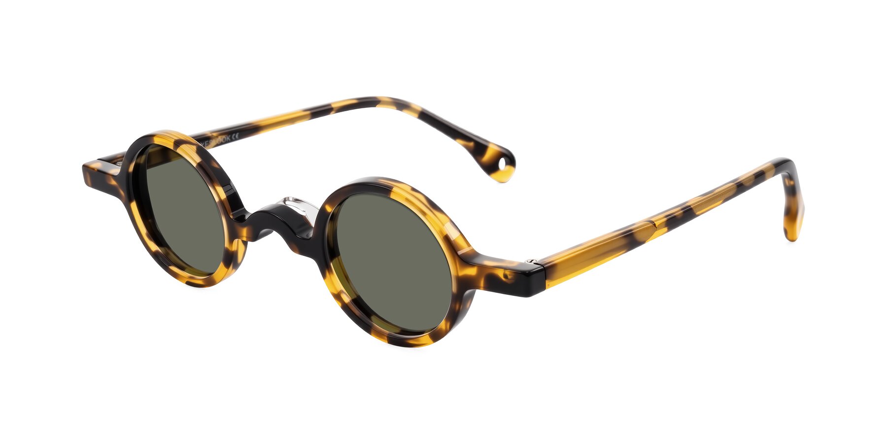 Angle of Hominid in Tortoise with Gray Polarized Lenses