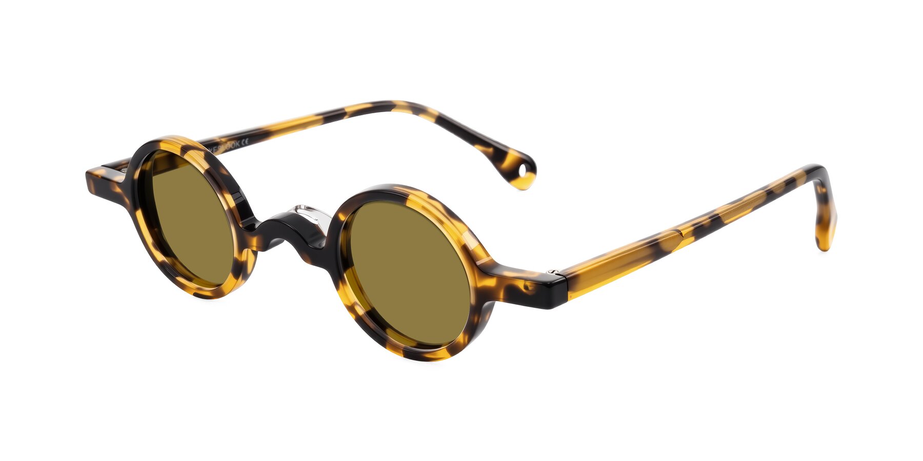 Angle of Hominid in Tortoise with Brown Polarized Lenses