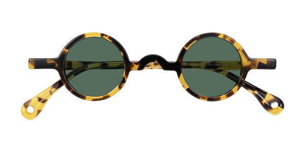 Front of Hominid in Tortoise