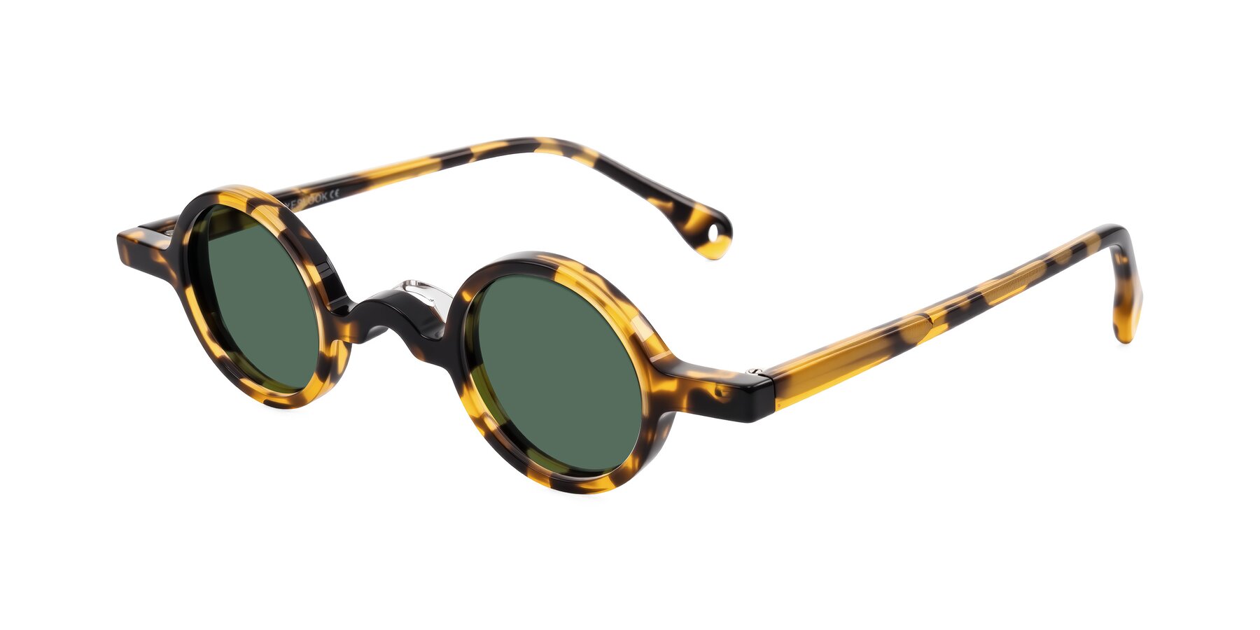 Angle of Hominid in Tortoise with Green Polarized Lenses