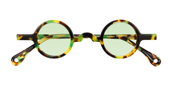 Front of Hominid in Green Tortoise