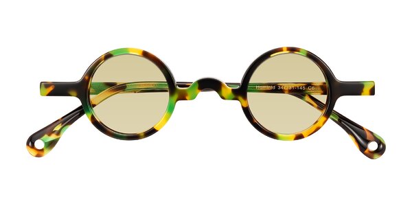 Front of Hominid in Green Tortoise
