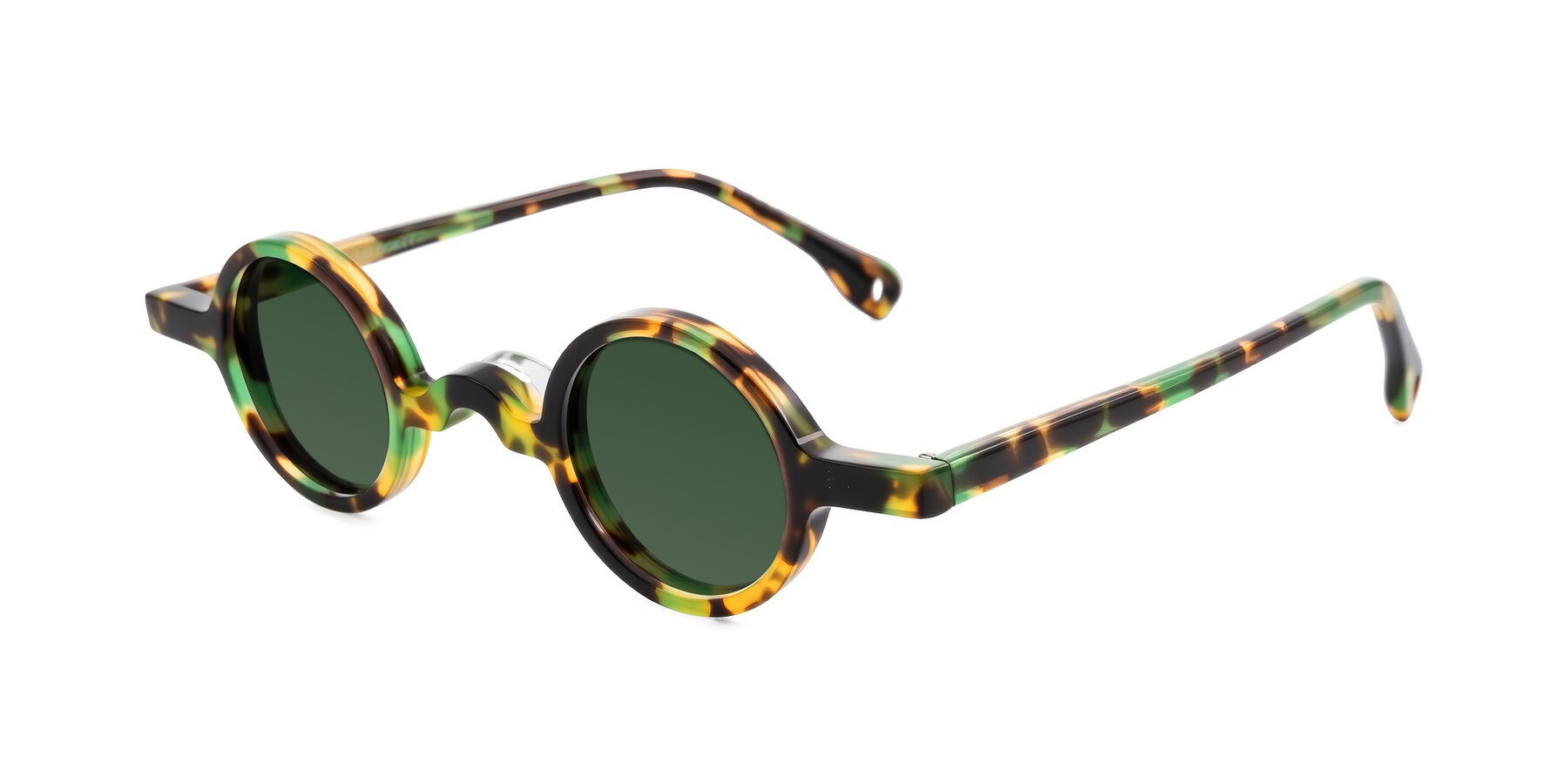 Angle of Hominid in Green Tortoise with Green Tinted Lenses