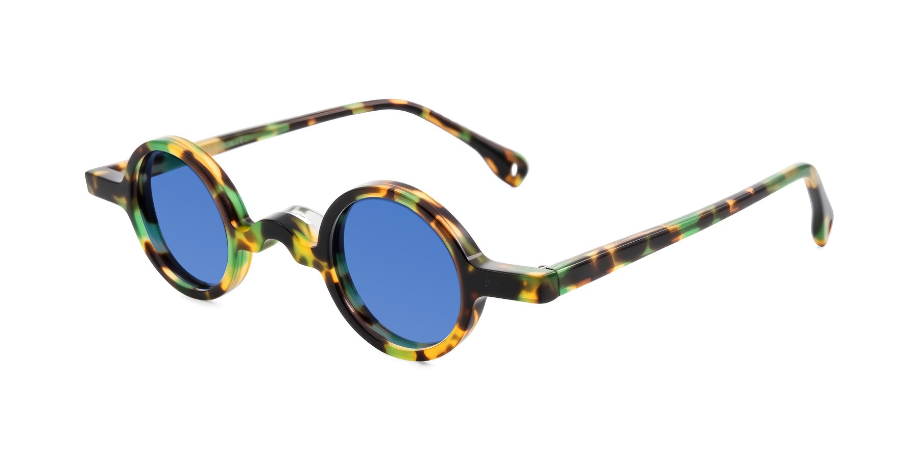 Angle of Hominid in Green Tortoise with Blue Tinted Lenses