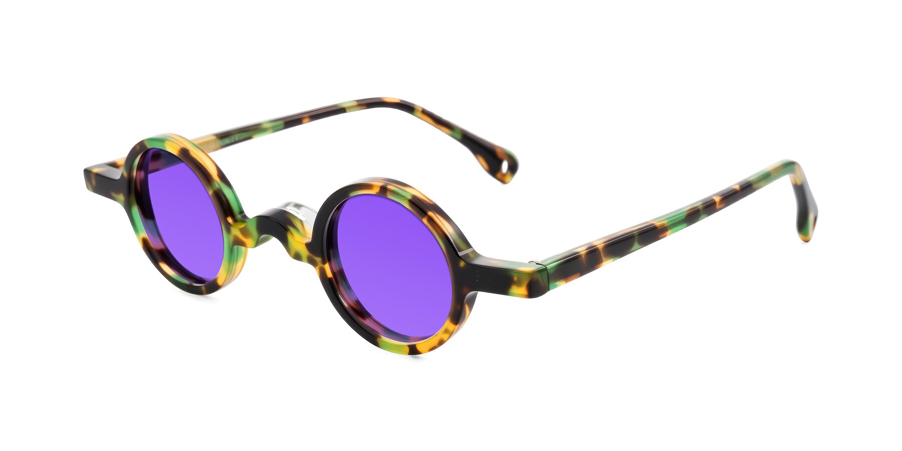 Angle of Hominid in Green Tortoise with Purple Tinted Lenses