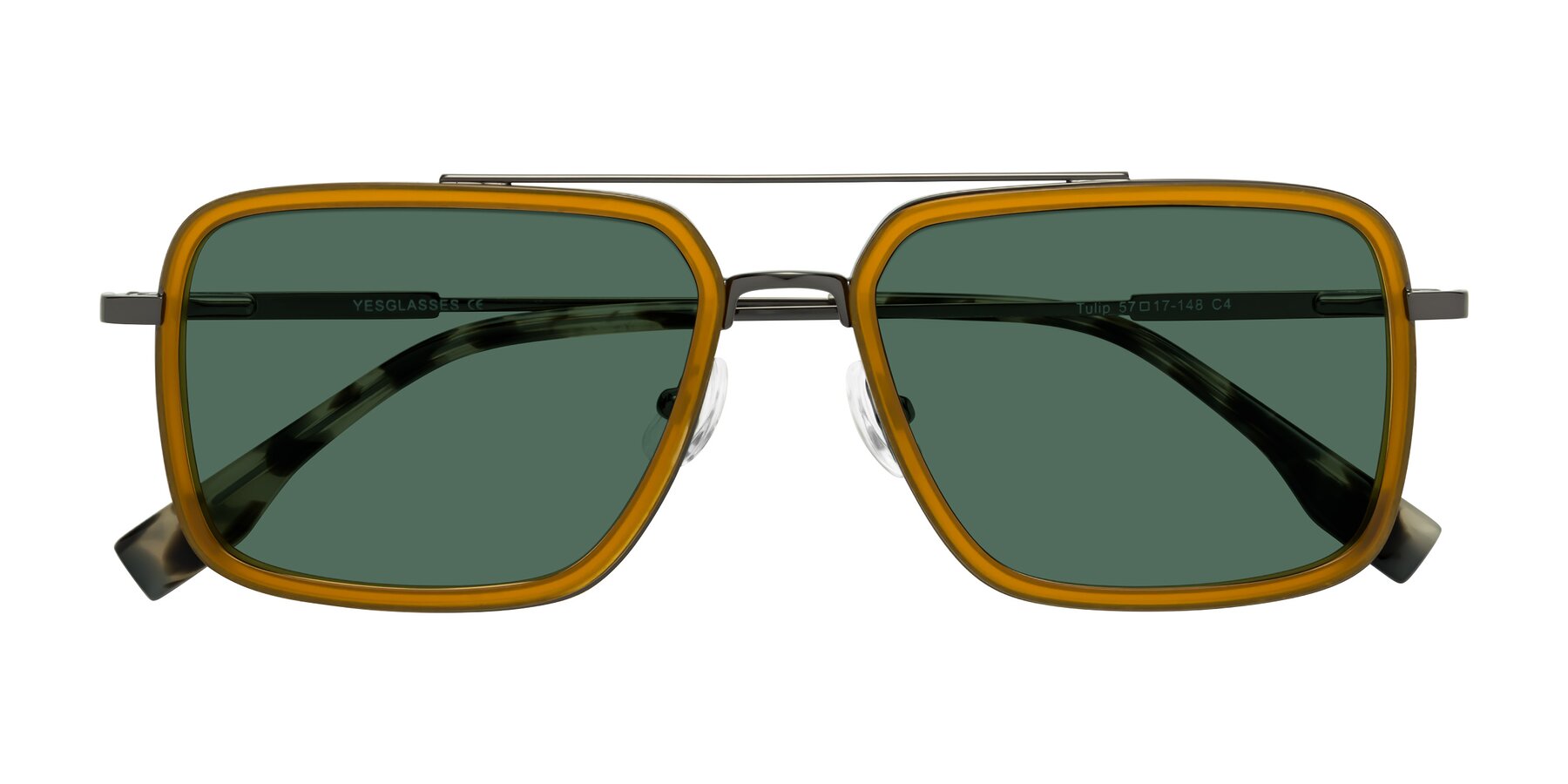 Folded Front of Tulip in Caramel-Gunmetal with Green Polarized Lenses