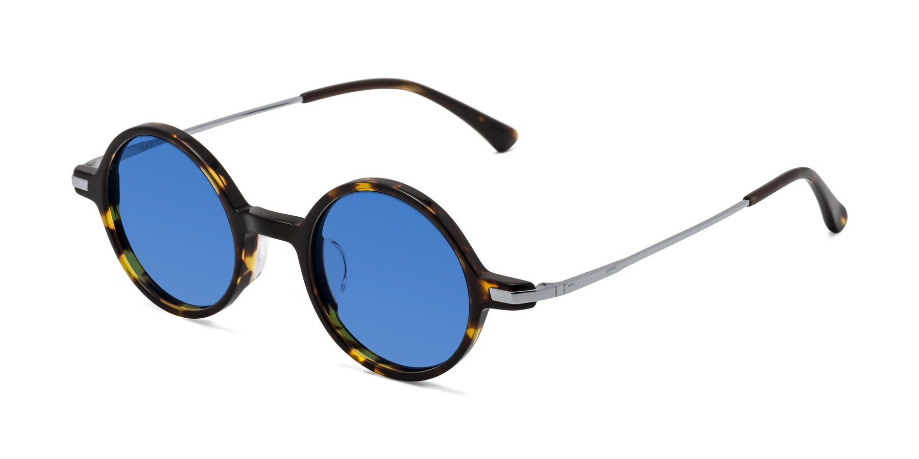 Angle of Coins in Tortoise with Blue Tinted Lenses