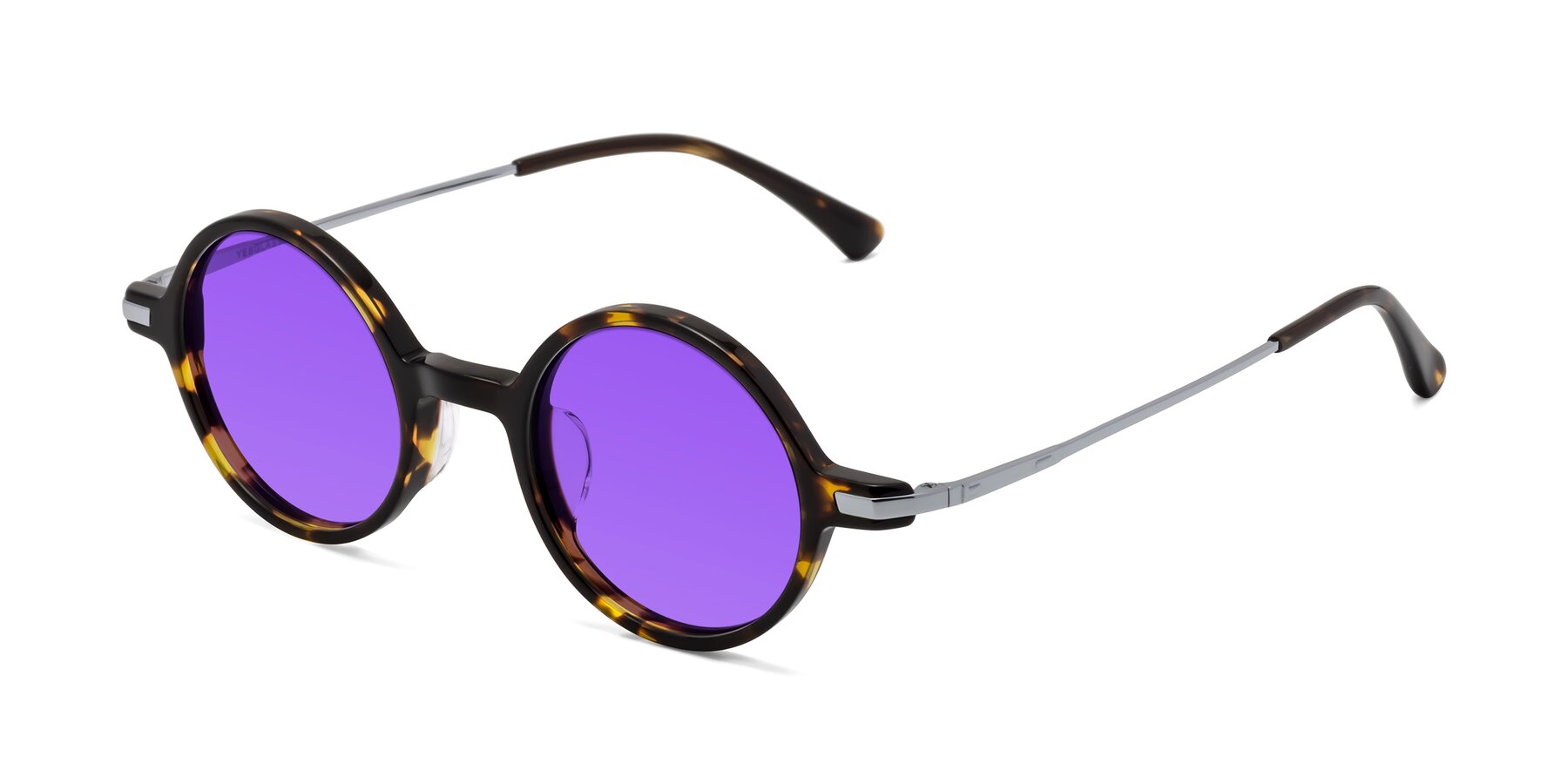 Angle of Coins in Tortoise with Purple Tinted Lenses