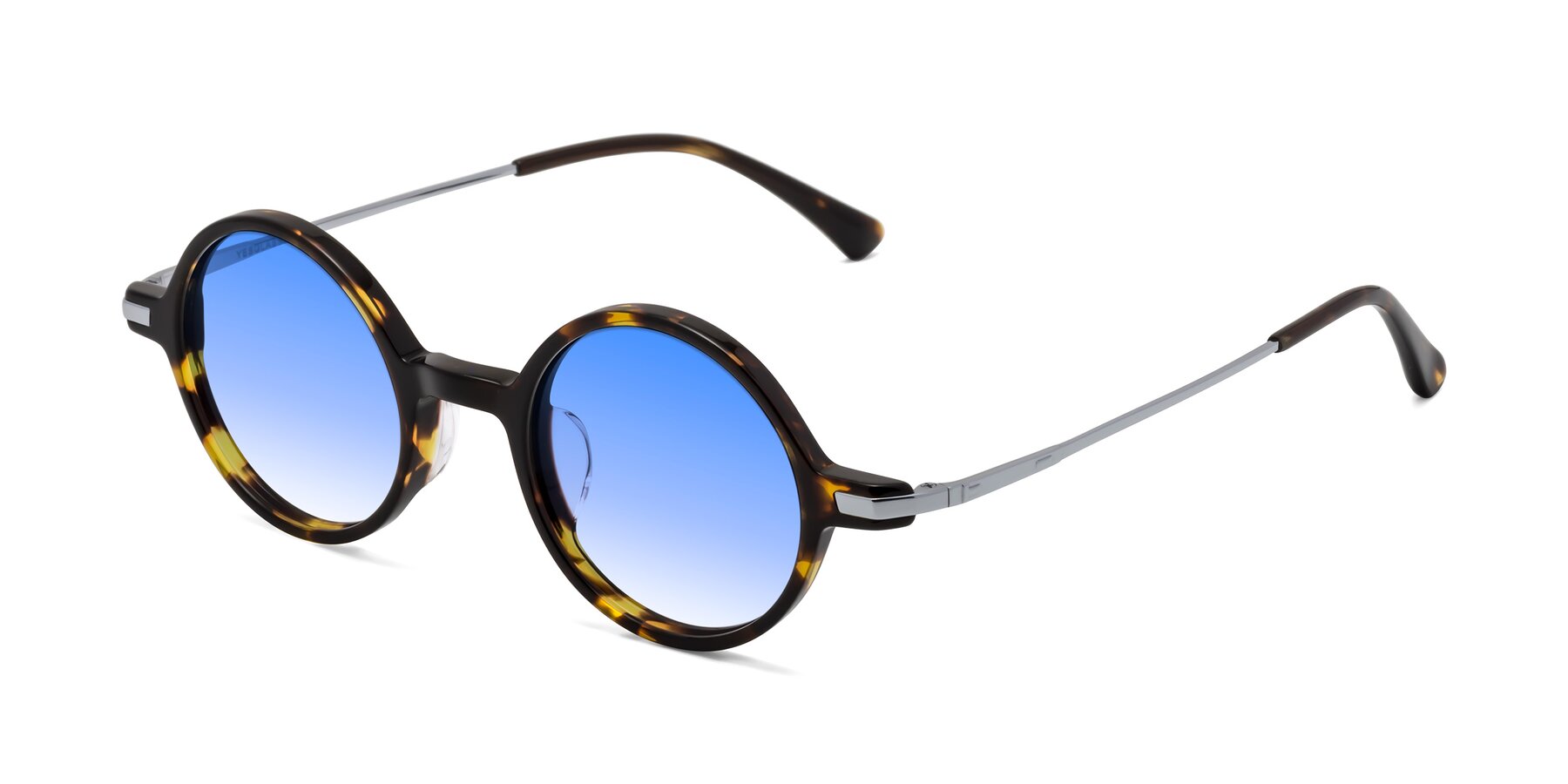 Angle of Coins in Tortoise with Blue Gradient Lenses