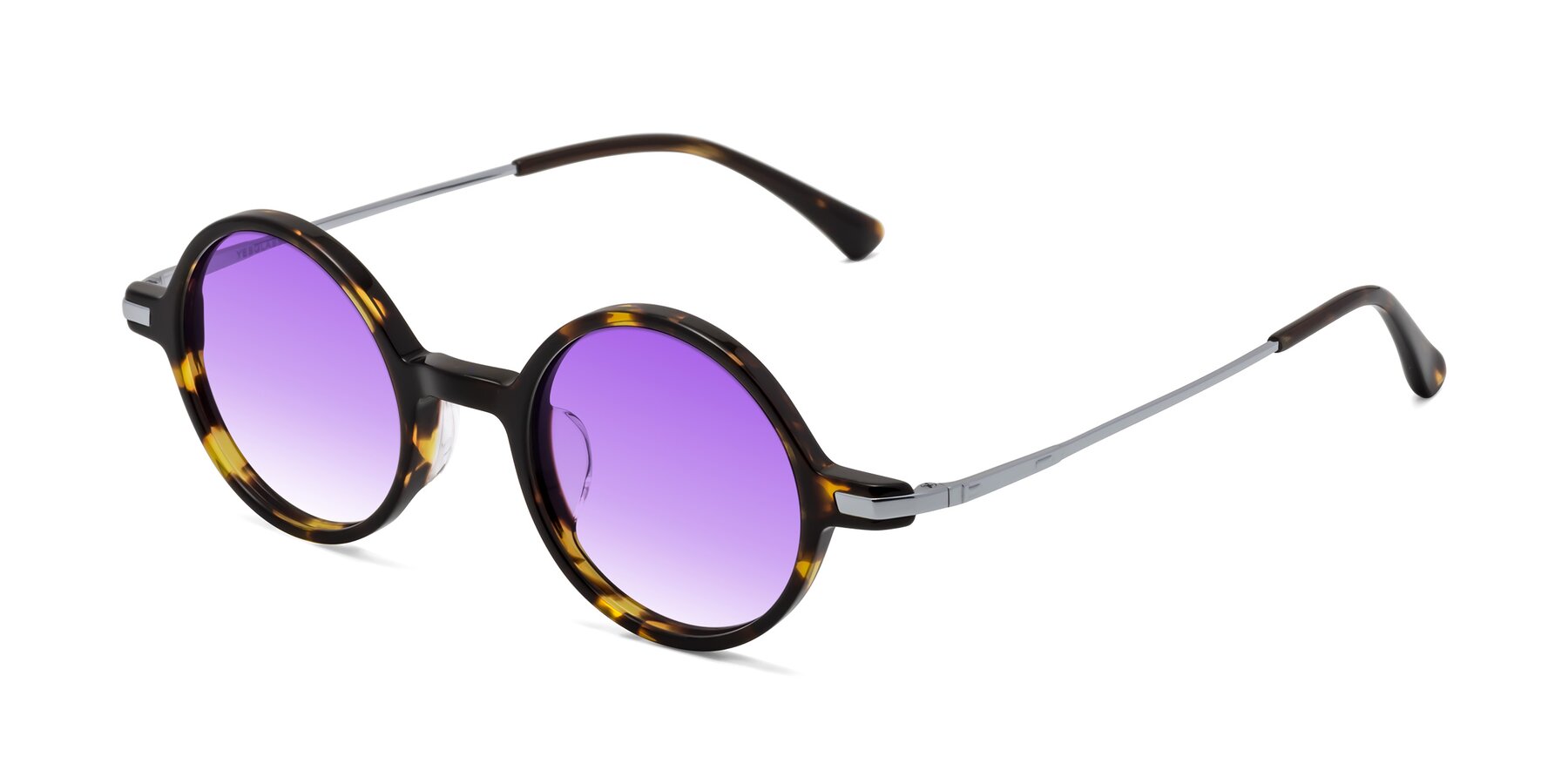 Angle of Coins in Tortoise with Purple Gradient Lenses