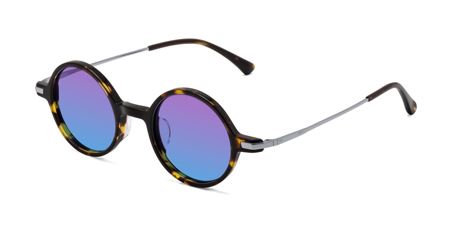 Angle of Coins in Tortoise with Purple / Blue Gradient Lenses