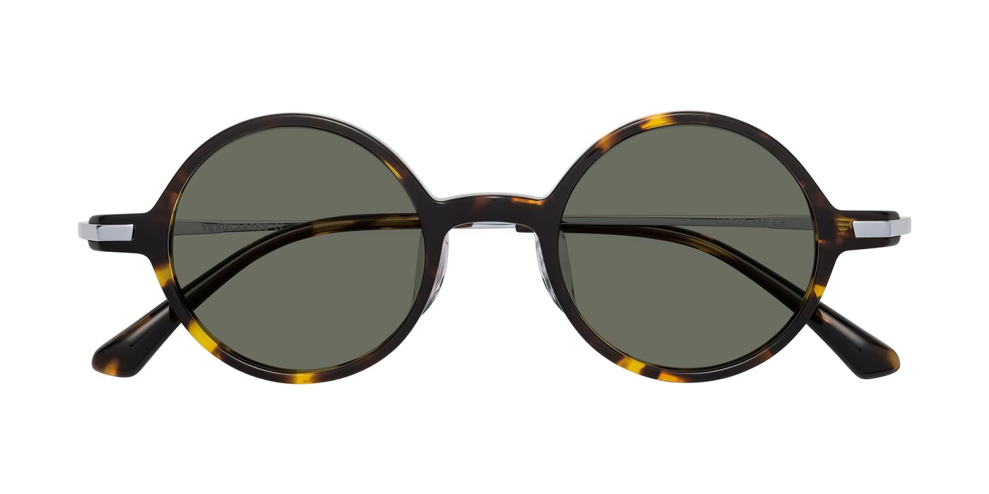 Coins - Tortoise Polarized Sunglasses