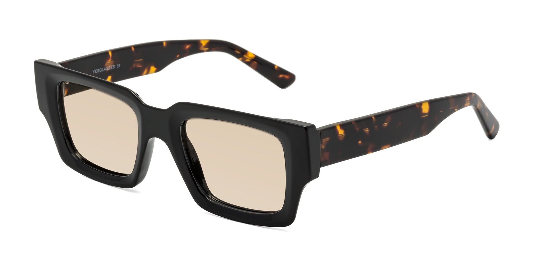 Angle of Iceberg in Black-Tortoise with Light Brown Tinted Lenses