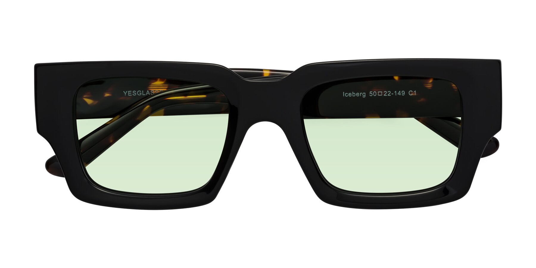 Folded Front of Iceberg in Black-Tortoise with Light Green Tinted Lenses