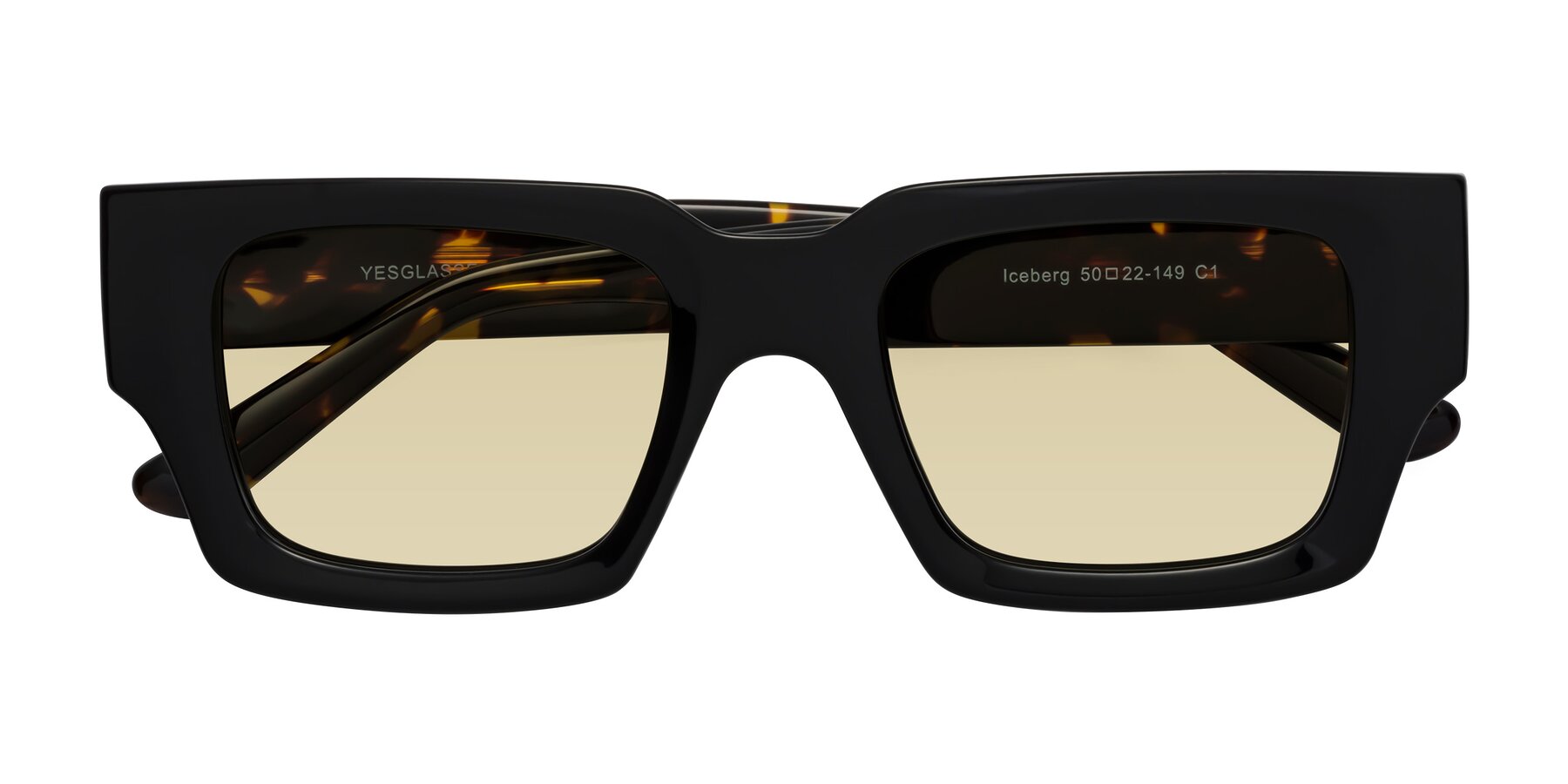 Folded Front of Iceberg in Black-Tortoise with Light Champagne Tinted Lenses